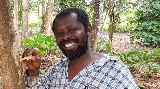 Hardy Mann Gewürzplantage Sansibar